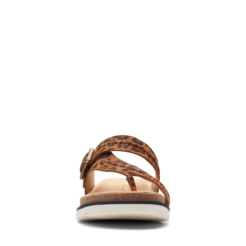 Leopard Women's Clarks Brynn Madi Print Sandals | 3104257-VL